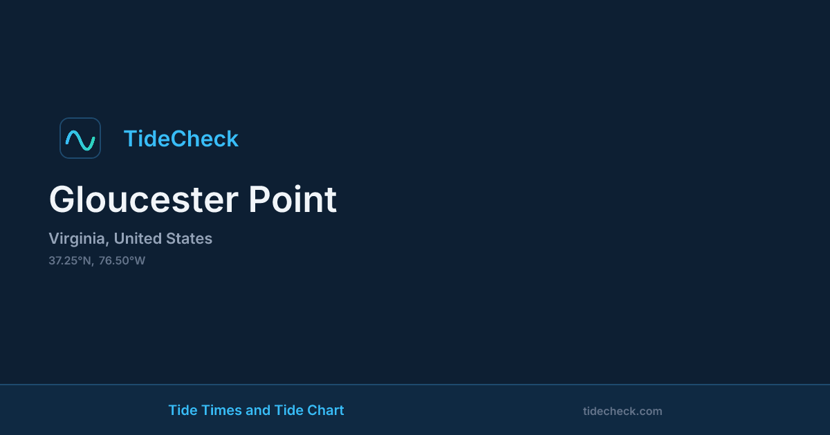 Point Graph Examples Gloucester Point Tide Times & Tide Chart | TideCheck